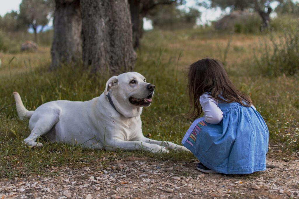 kid, dog, outdoors, little girl, girl, child, pet, animal, doggy, cute, adorable, childhood, nature, dog, dog, dog, dog, dog